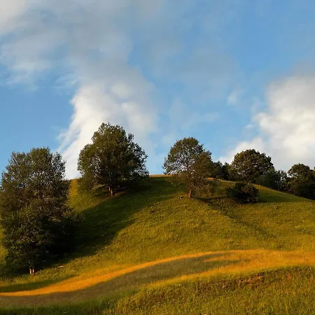 Ferienwohnung Uf Z'enisch *