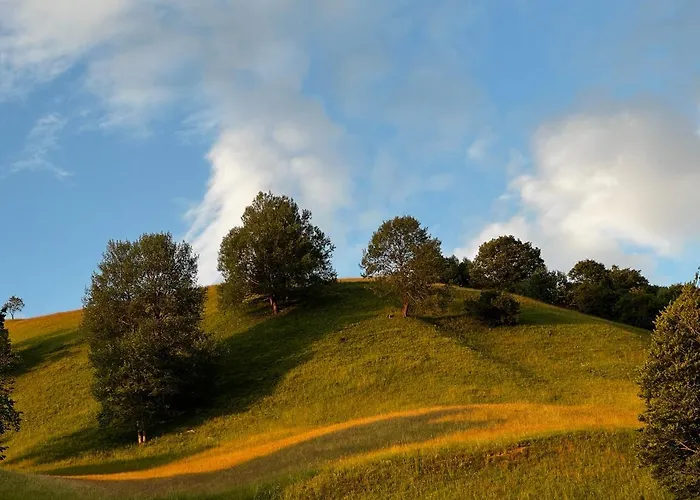 Ferienwohnung Uf Z'enisch *