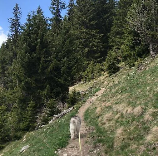 Apartmán Ferienwohnung Uf Z'enisch *